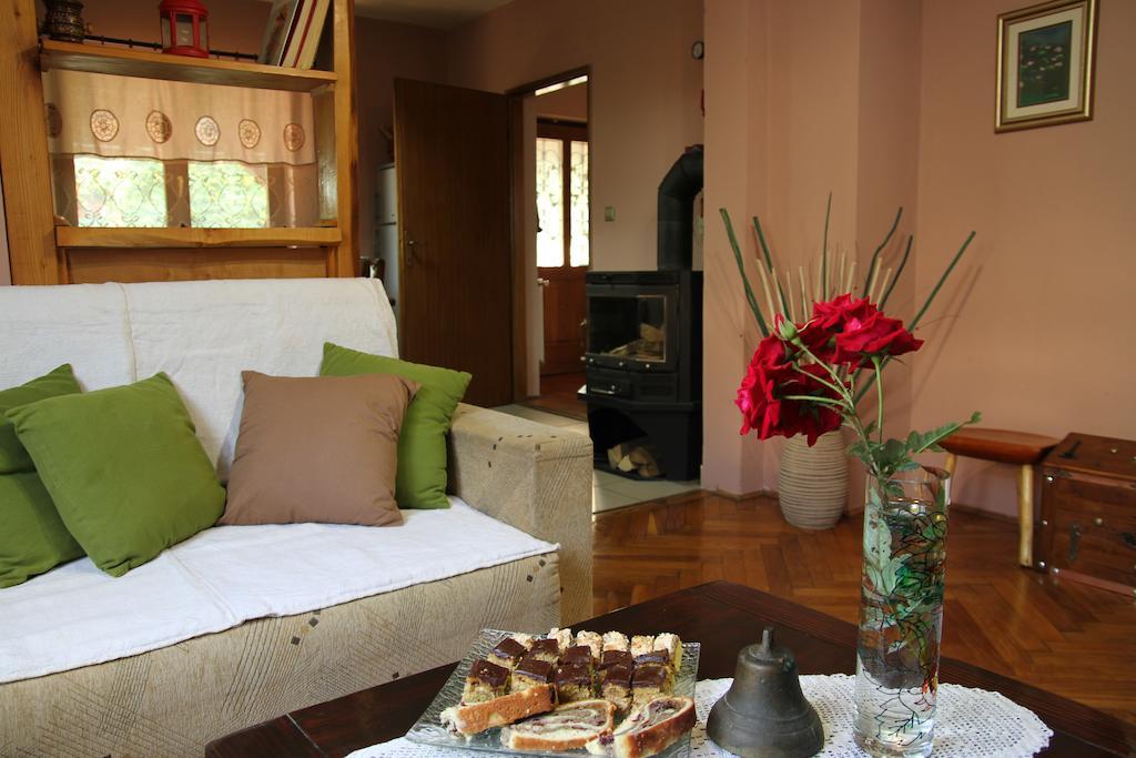 Apartment Eva ราโควิซา ห้อง รูปภาพ